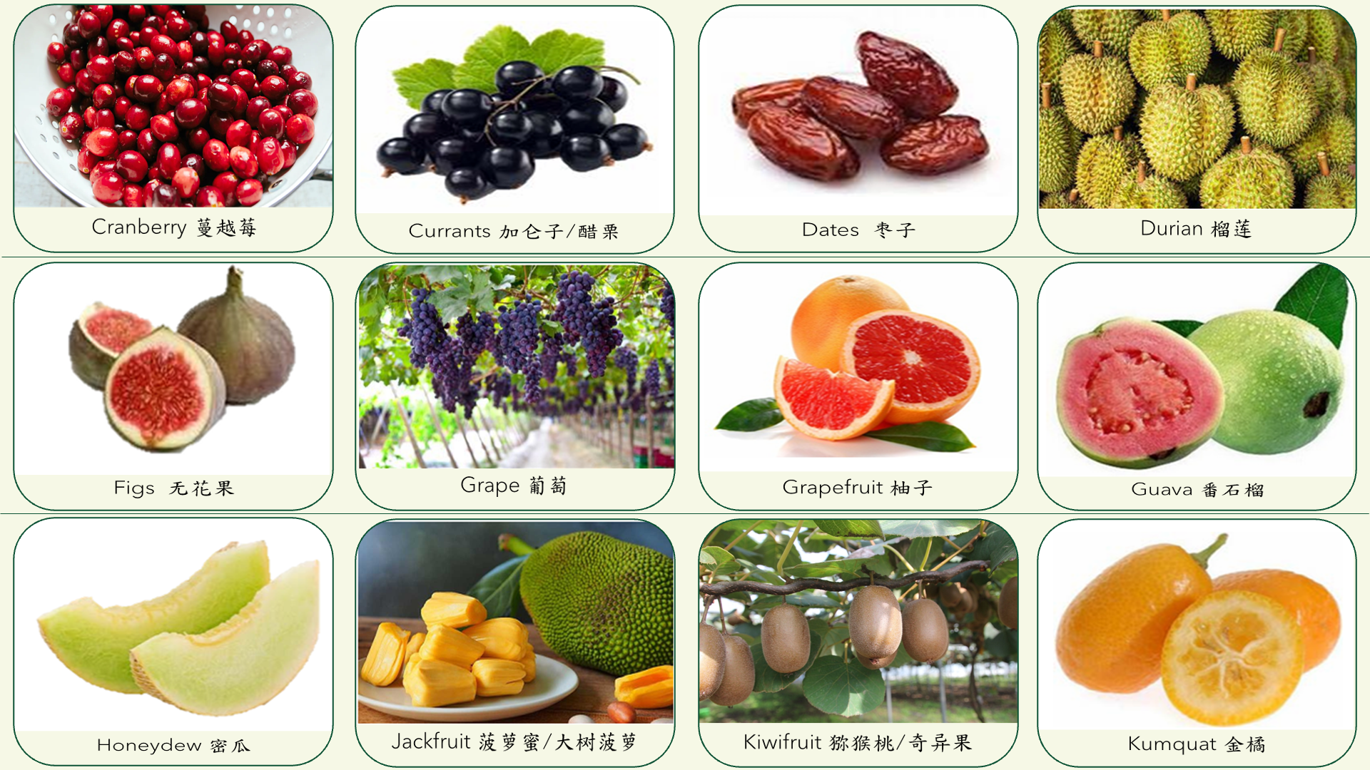 Food category slide 4