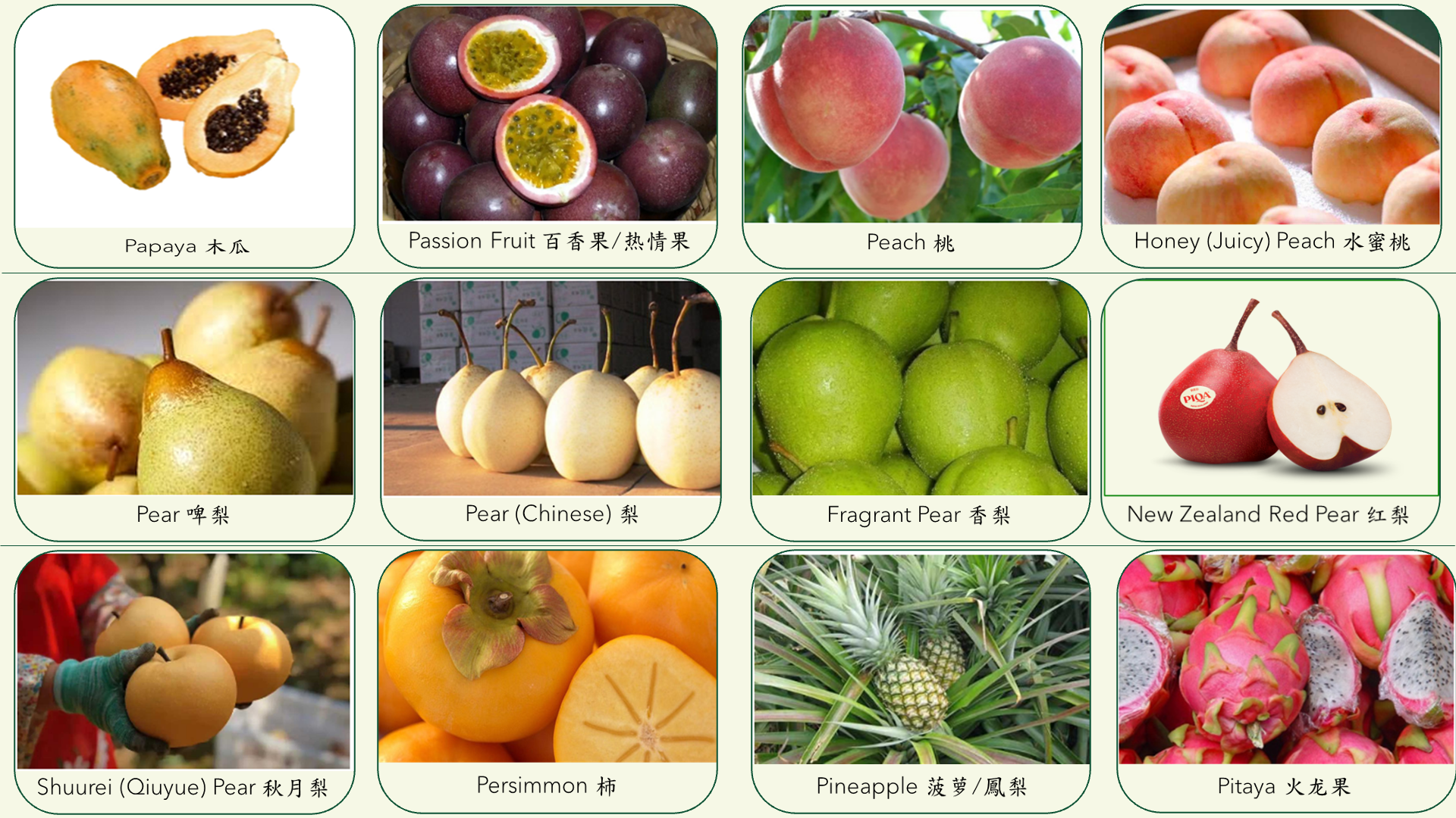 Food category slide 6