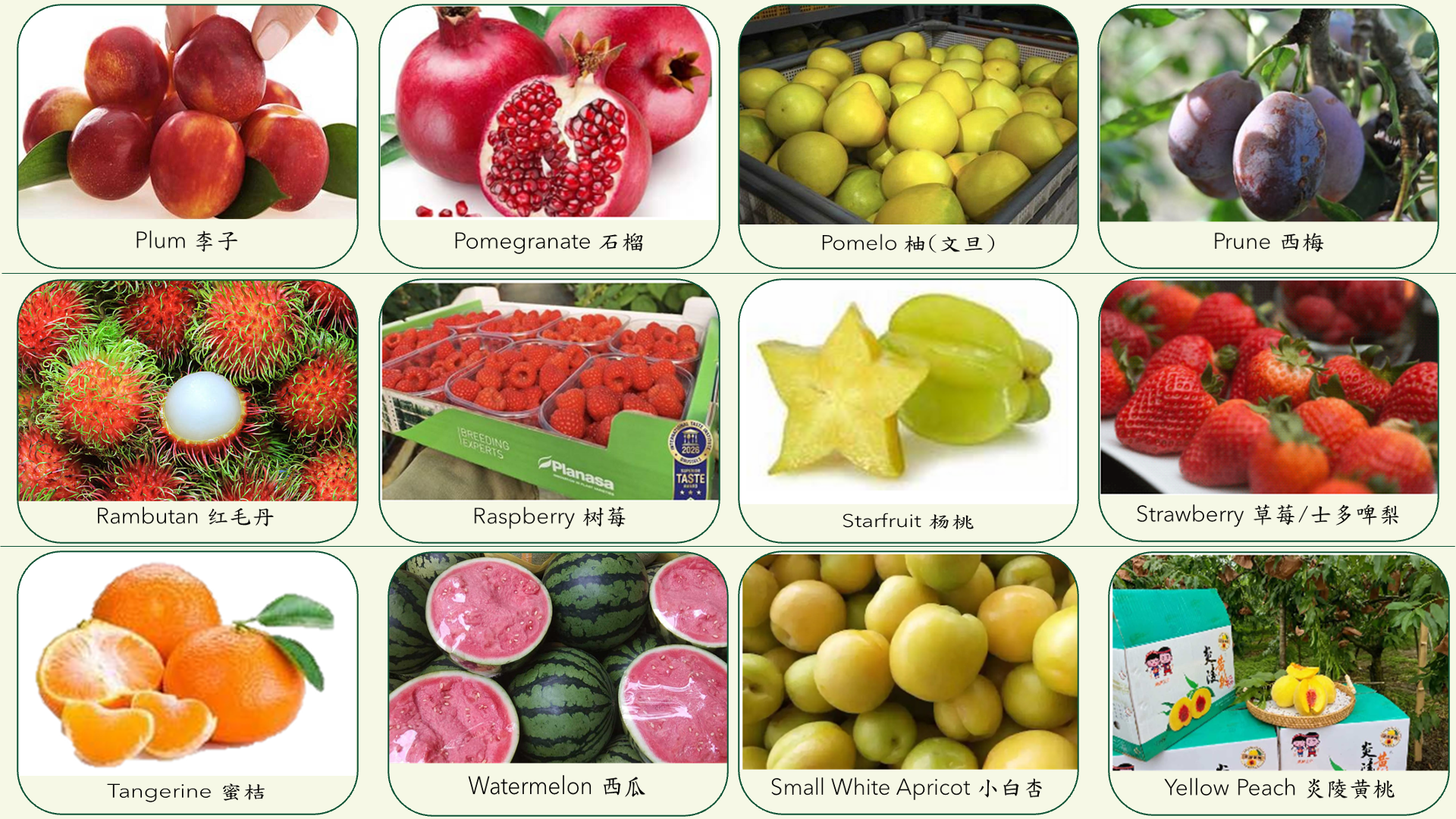 Food category slide 7